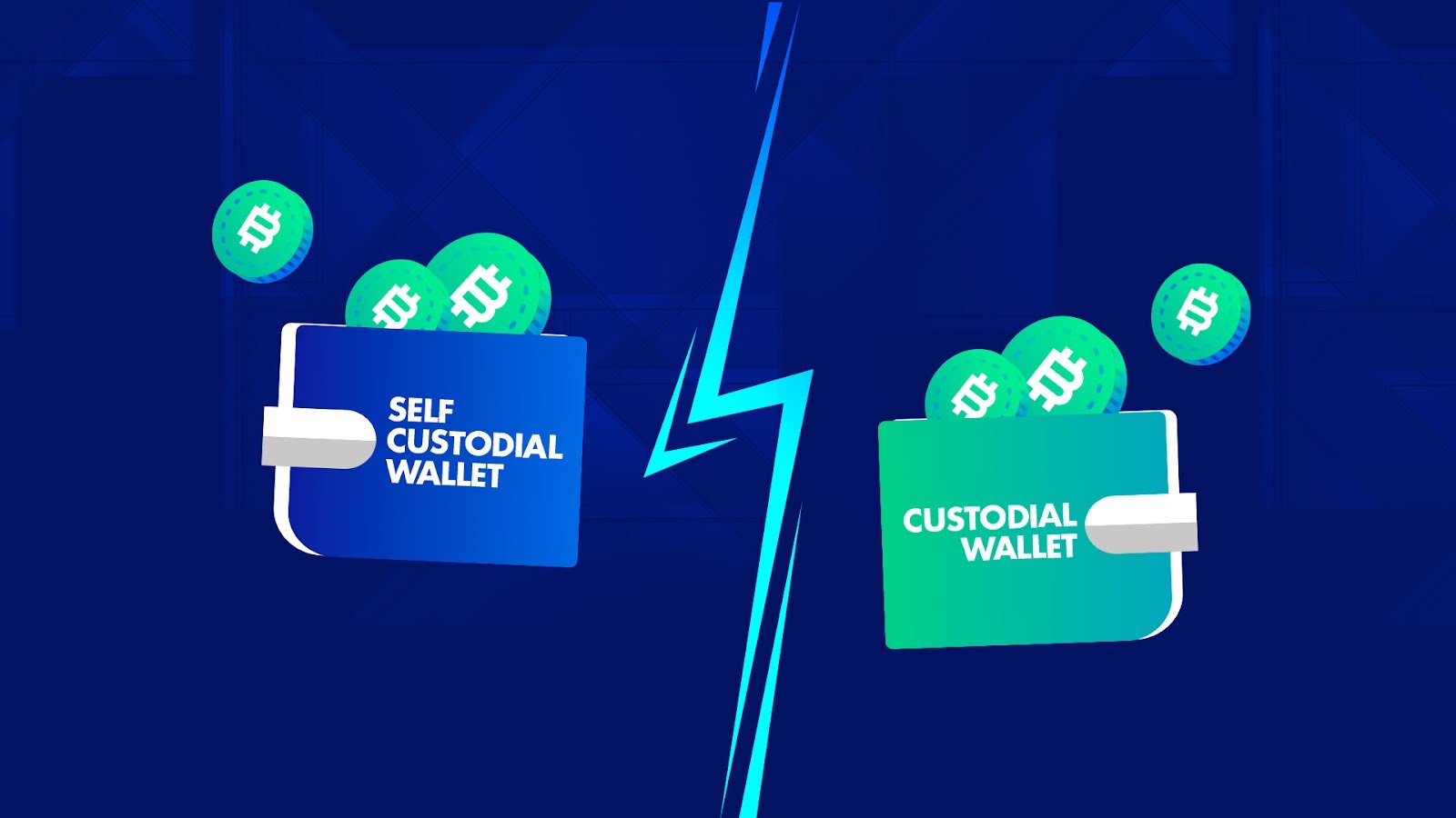self custody crypto wallet