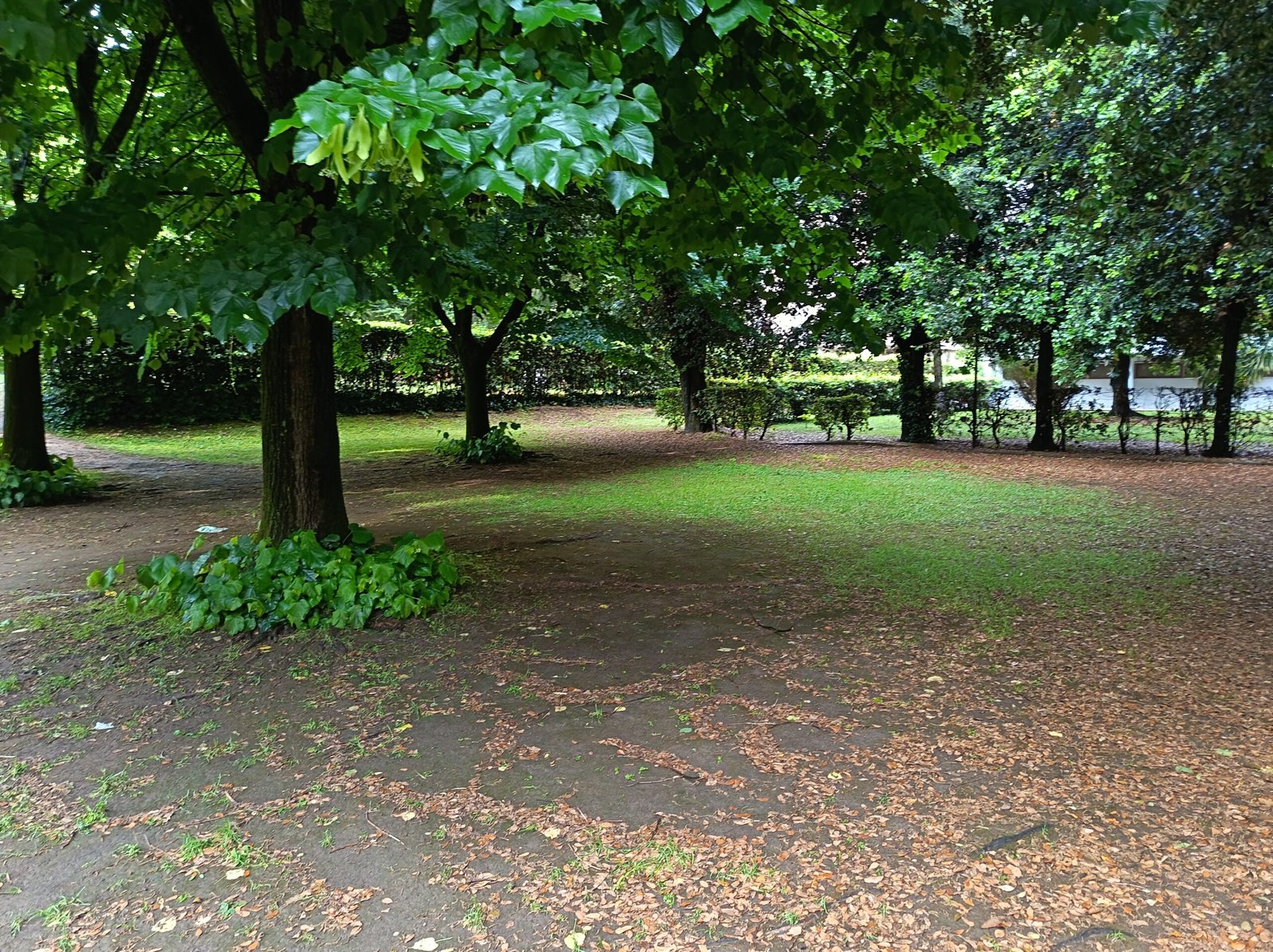 recensione honor magic 600 lite specifiche prezzi